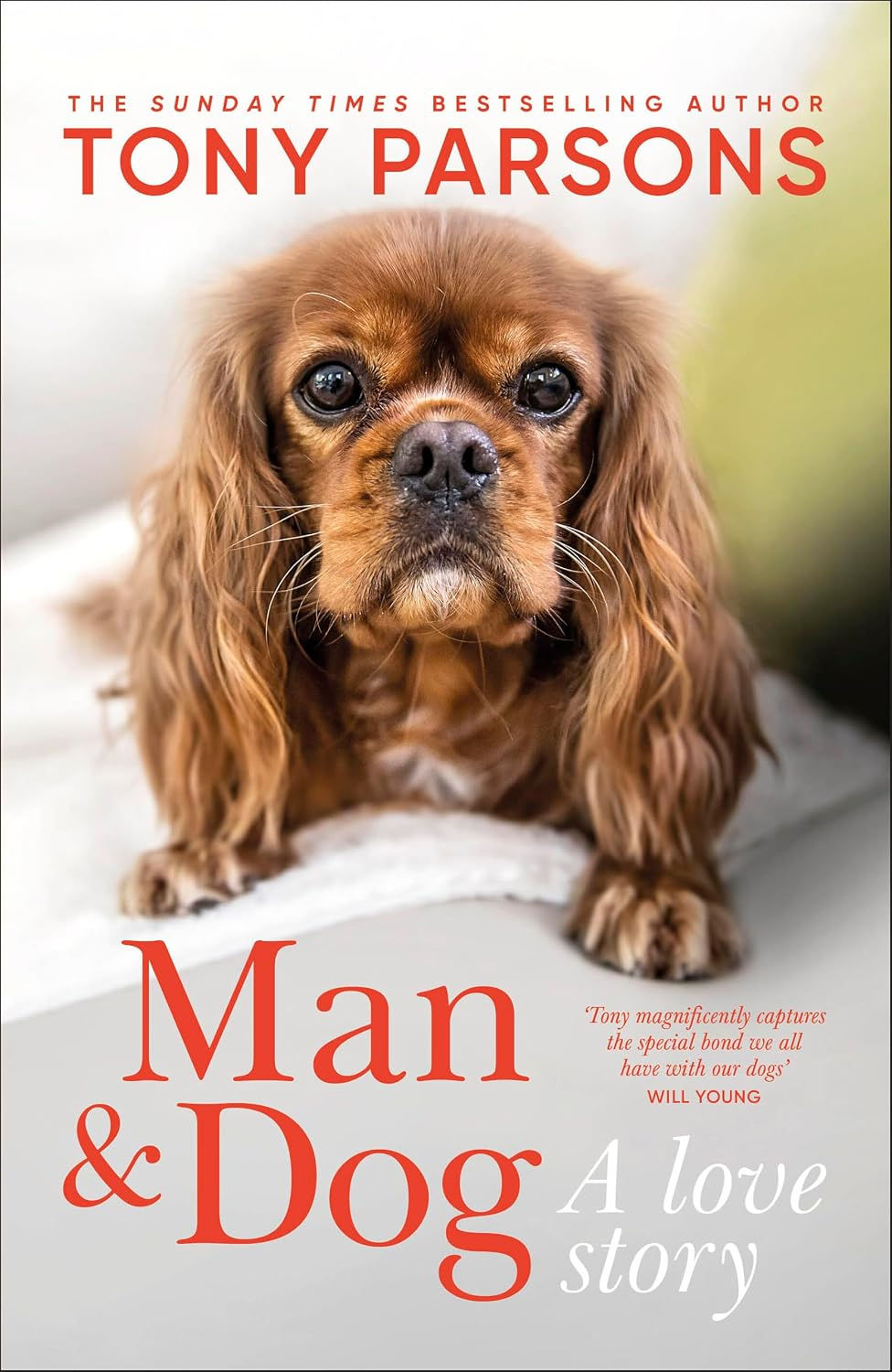 Man and Dog Cover.jpg